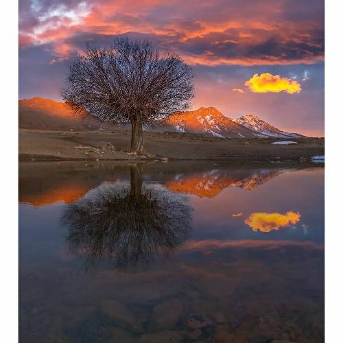 محمد بهاری روزگار الله خوی تو زانی وا دلامه یا مه